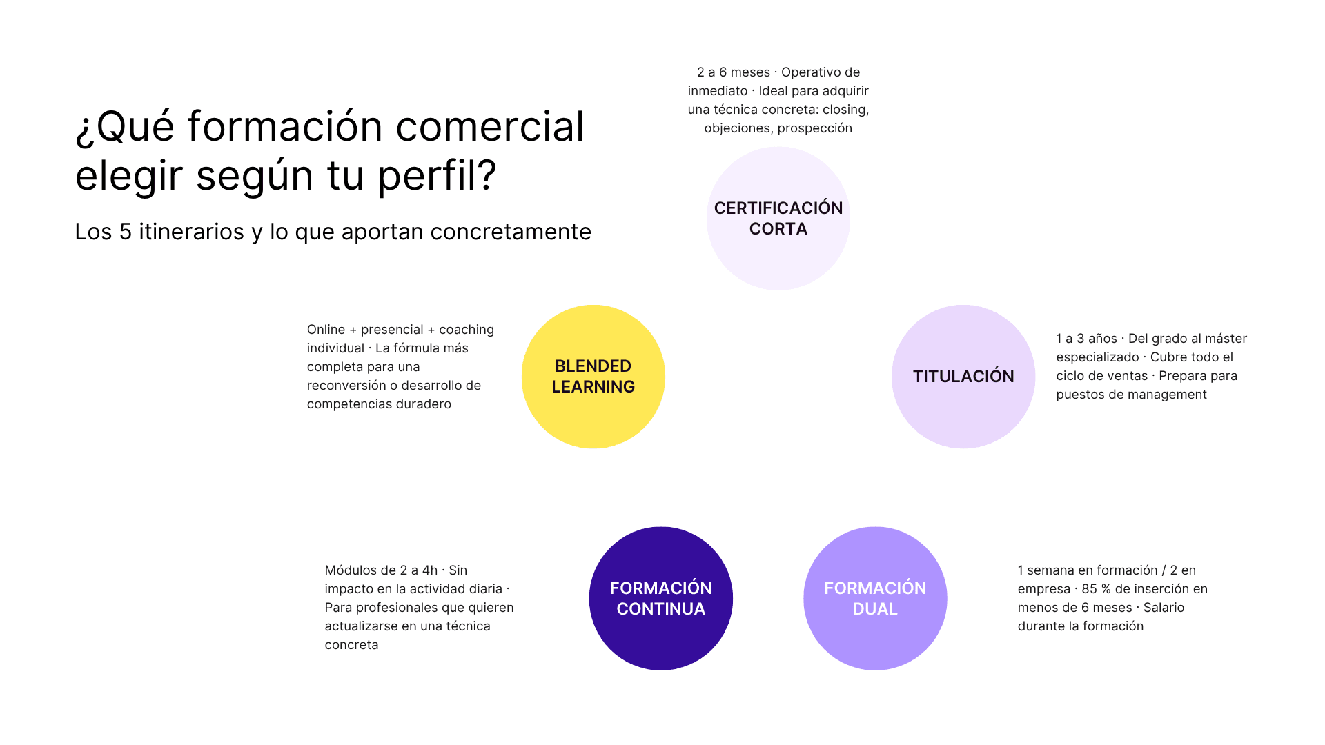 Qué formacion comercial elegir segun tu perfil