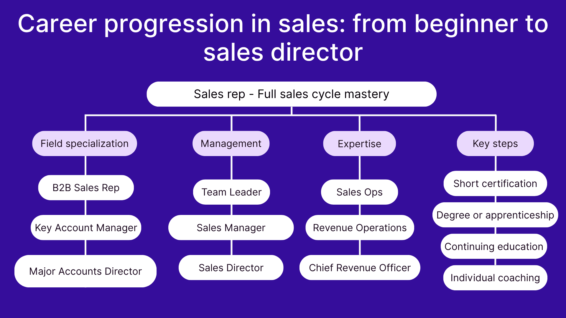 Career progression in sales: from beginner to sales director