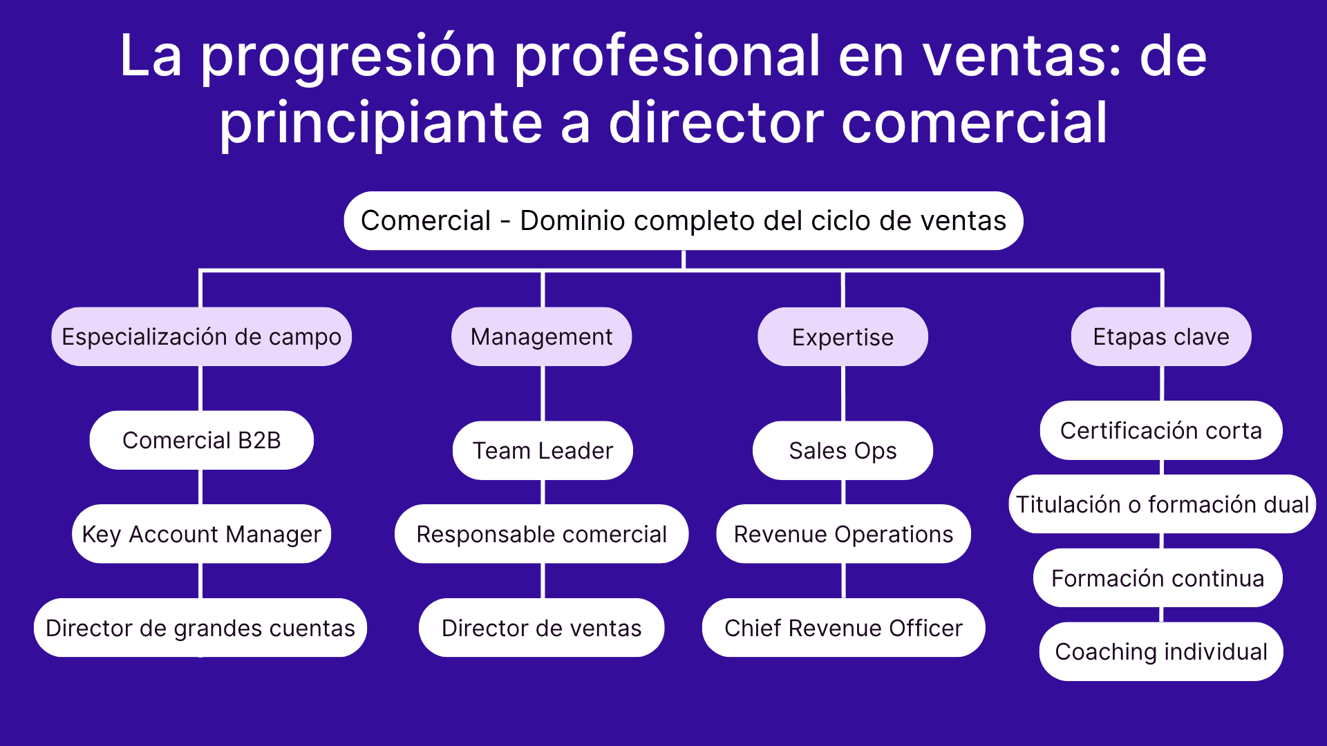 La progresion profesional en ventas: de principiantes a director comercial
