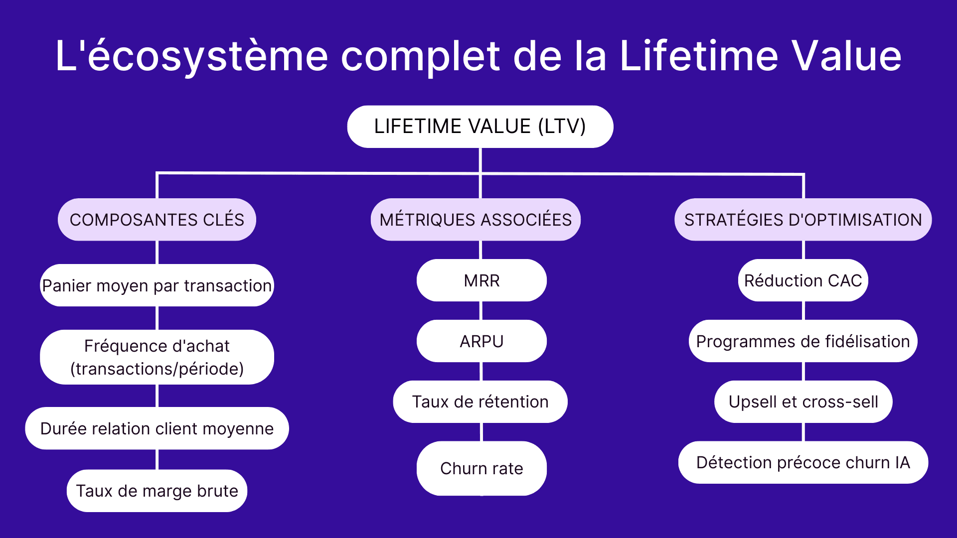 L'écosystème complet de la Lifetime Value