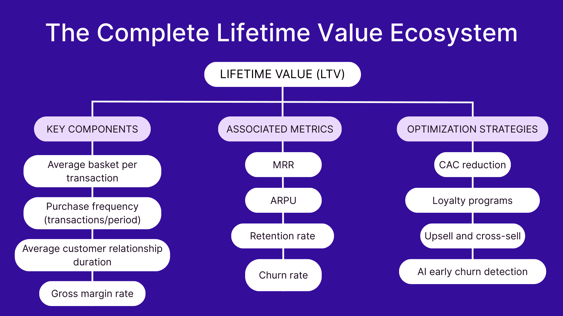 The complete lifetime value ecosystem