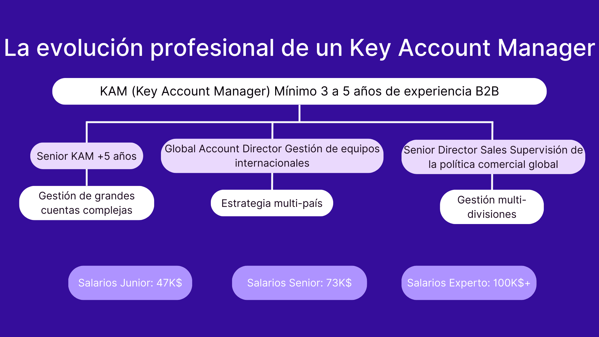 La evolucion profesional de un Key Account Manager