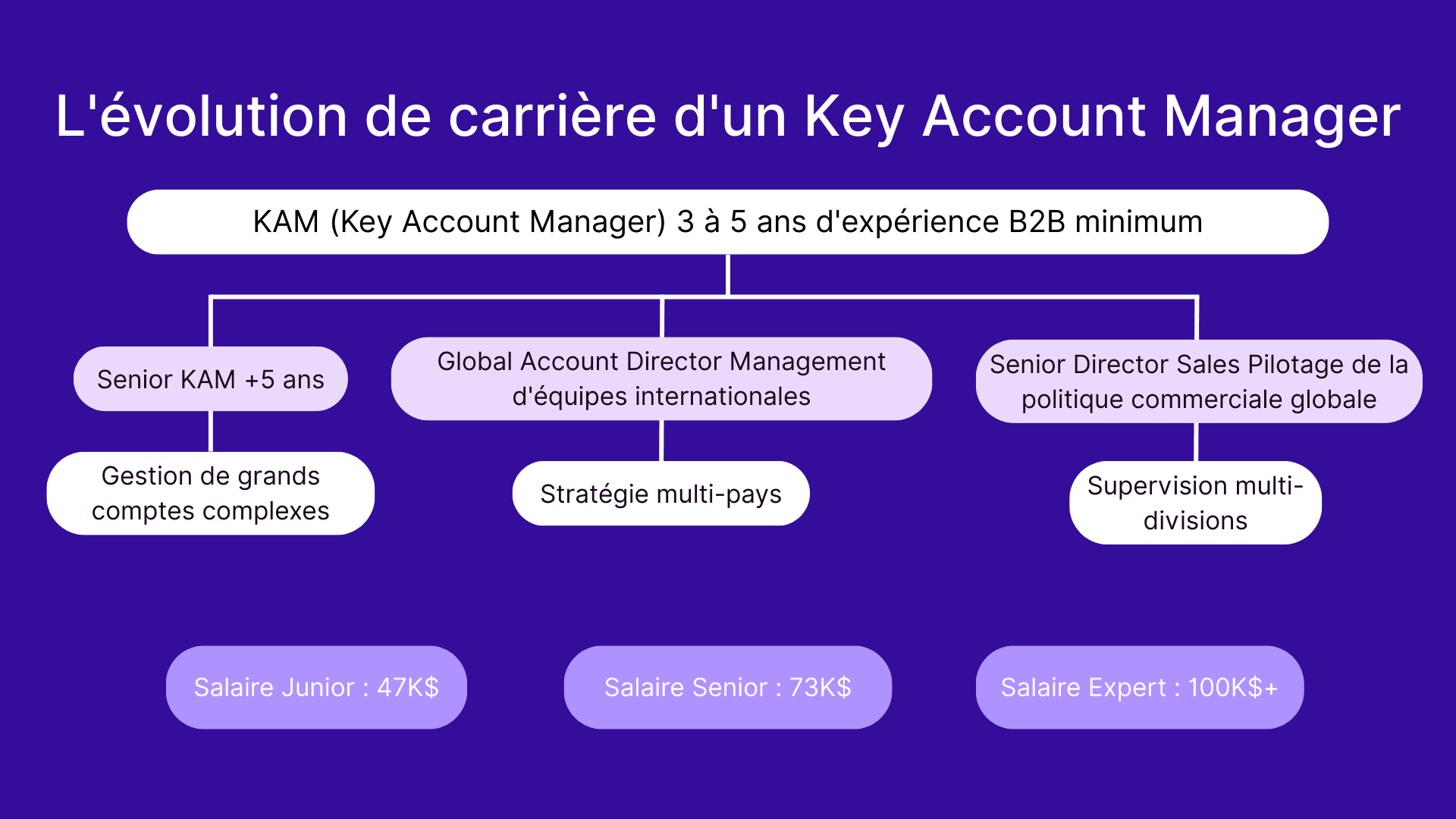 L'évolution de carrière d'un Key Account Manager