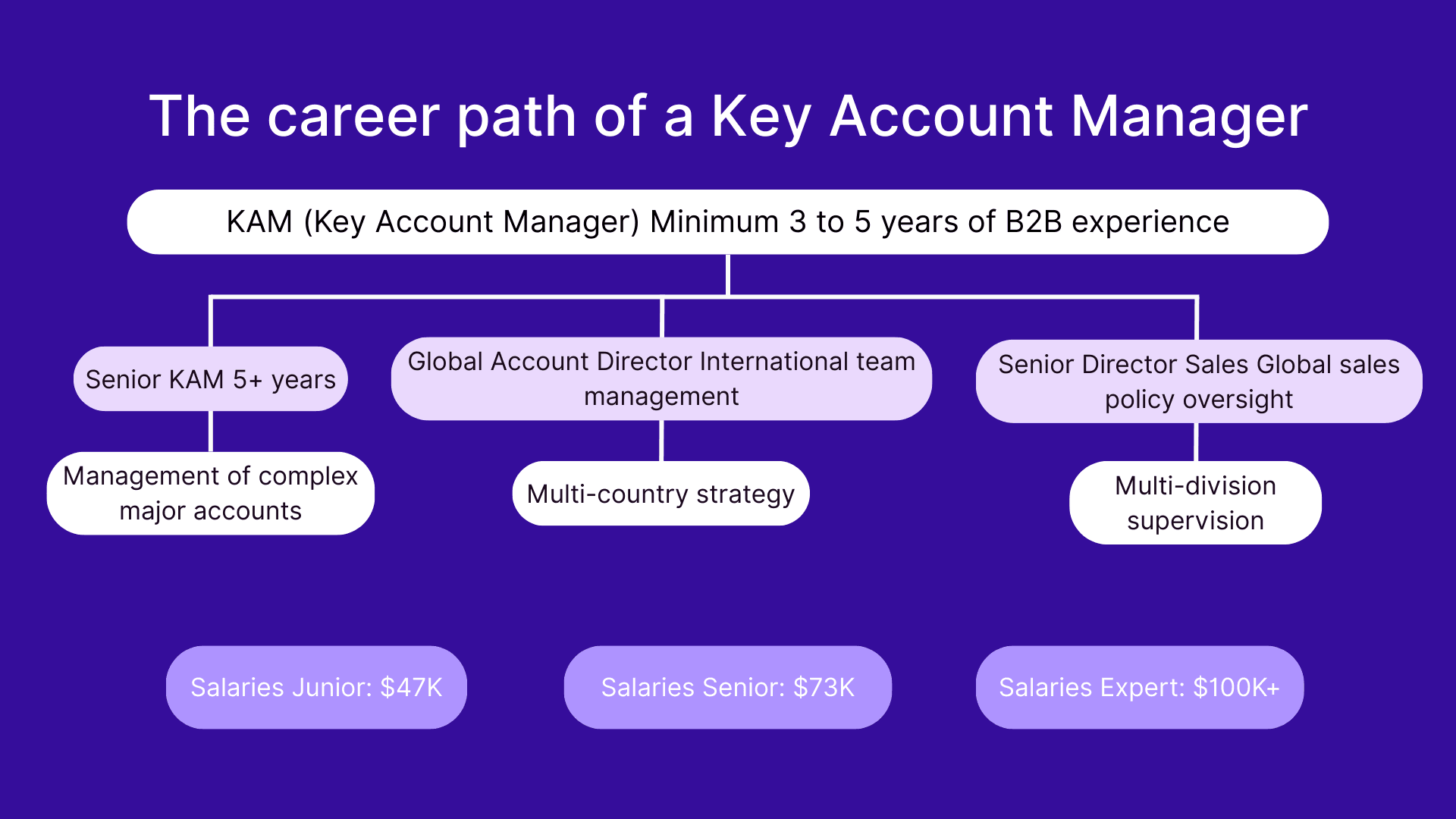 The career path of a Key Account Manager