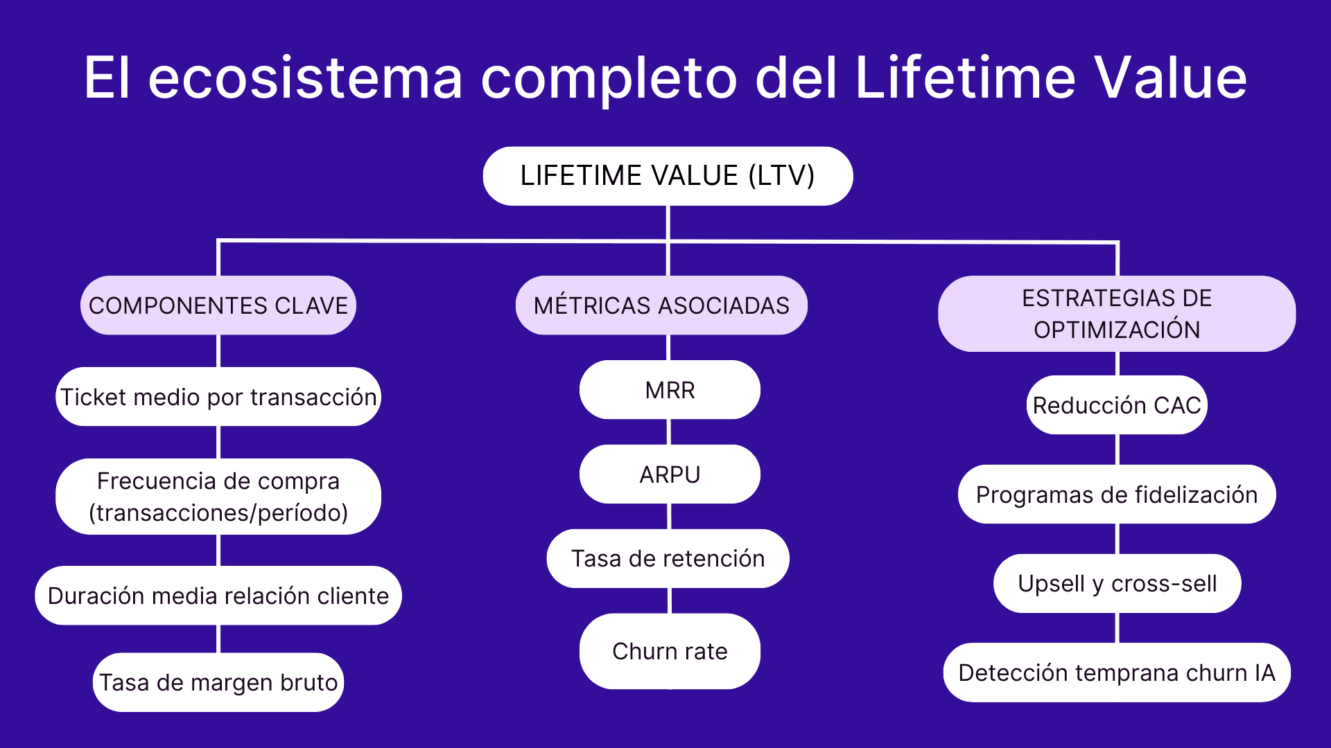El ecosistema completo del Lifetime Value